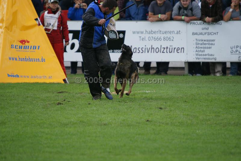 Akita von der Lilienwiese463.JPG